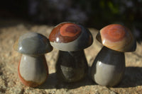 Polished Mini Polychrome / Picasso Jasper Mushrooms  x 20 From Madagascar