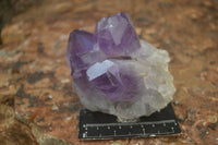 Natural Jacaranda Amethyst Clusters  x 3 From Mumbwa, Zambia - Toprock Gemstones and Minerals 