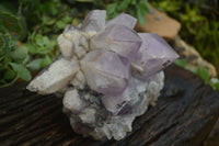 Natural Jacaranda Amethyst Cluster x 1 From Mumbwa, Zambia - TopRock