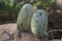 Polished Spotted Leopard Stone Standing Free Forms  x 6 From Zimbabwe - Toprock Gemstones and Minerals 