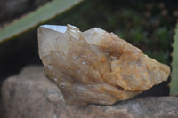 Natural Cascading White Phantom Smokey Quartz Clusters  x 6 From Luena, Congo - Toprock Gemstones and Minerals 