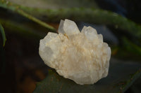 Natural "Cathedral Window" Terminated Candle Quartz Formations  x 14 From Madagascar - Toprock Gemstones and Minerals 