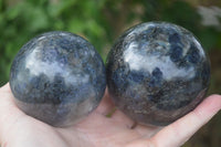 Polished Rare Iolite / Water Sapphire Spheres  x 2 From Madagascar - Toprock Gemstones and Minerals 