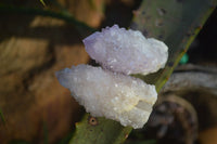 Natural Spirit Amethyst Quartz Crystals  x 20 From Boekenhouthoek, South Africa - Toprock Gemstones and Minerals 