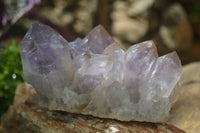 Natural Jacaranda Amethyst Clusters x 2 From Mumbwa, Zambia - TopRock