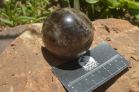 Polished Morion Smokey Quartz Spheres x 3 From Madagascar - TopRock