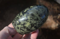 Polished Spotted Leopard Stone Standing Free Forms  x 6 From Zimbabwe - Toprock Gemstones and Minerals 