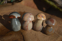 Polished Mini Polychrome / Picasso Jasper Mushrooms  x 20 From Madagascar