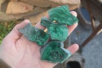 Polished Small Flower Banded Malachite Slices  x 24 From Congo - Toprock Gemstones and Minerals 