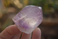 Polished Small Window Amethyst Quartz Points x 12 From Madagascar