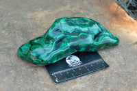 Polished Malachite Free Forms With Stunning Flower & Banding Patterns x 3 From Congo - TopRock