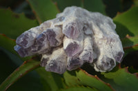 Natural Sugar Amethyst Clusters  x 6 From Solwezi, Zambia - Toprock Gemstones and Minerals 