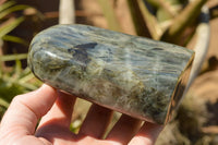 Polished Labradorite Standing Free Forms With Intense Blue & Gold Flash x 2 From Sakoany, Madagascar - TopRock