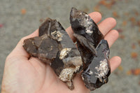 Natural Smokey Quartz Crystal Formations  x 5 From Mt. Mulanje, Malawi - TopRock