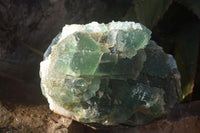 Natural Stepped Green Fluorite Specimen  x 1 From Uis, Namibia