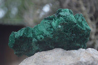 Natural Large Chatoyant Silky Malachite Specimens  x 4 From Kasompe, Congo - Toprock Gemstones and Minerals 