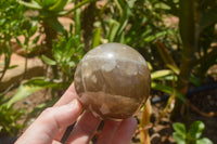 Polished Morion Smokey Quartz Spheres x 3 From Madagascar - TopRock