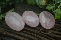 Polished Gemmy Pink Rose Quartz Palm Stones  x 12 From Madagascar - Toprock Gemstones and Minerals 