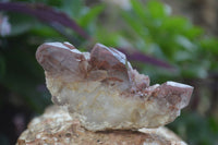 Natural Red Hematoid Quartz Specimens x 12 From Karoi, Zimbabwe