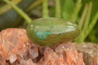 Polished Green Verdite Palm Stones  x 3 From Zimbabwe - TopRock