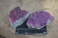 Natural Pink Salrose Cobaltion Dolomite Specimens  x 6 From Congo - Toprock Gemstones and Minerals 