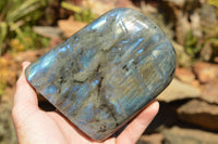 Polished Labradorite Standing Free Forms With Intense Blue & Gold Flash x 2 From Sakoany, Madagascar - TopRock