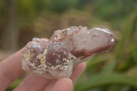 Natural Red Hematoid Quartz Specimens x 12 From Karoi, Zimbabwe - TopRock