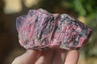 Natural Rough Red Rhodonite Specimens x 6 From Karoi, Zimbabwe