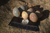 Polished Mini Polychrome / Picasso Jasper Mushrooms  x 20 From Madagascar