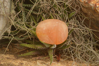 Polished Small Orange Twist Calcite Gallets / Palm Stones - sold per 1 kg - From Maevantanana, Madagascar - TopRock