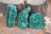 Polished Small Flower Banded Malachite Slices  x 24 From Congo - Toprock Gemstones and Minerals 