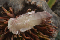 Natural Red Hematoid Quartz Specimens x 12 From Karoi, Zimbabwe - TopRock