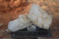 Natural "Cathedral Window" Terminated Candle Quartz Formations  x 14 From Madagascar - Toprock Gemstones and Minerals 