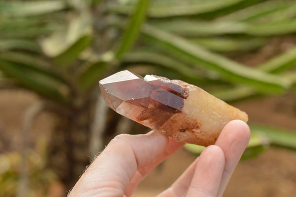 Natural Highly Selected Red Hematite Phantom Quartz Crystals  x 12 From Karoi, Zimbabwe - TopRock