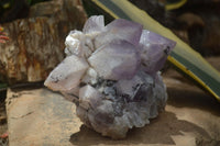 Natural Jacaranda Amethyst Cluster x 1 From Mumbwa, Zambia - TopRock