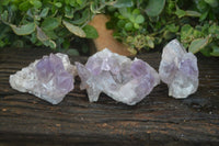 Natural Jacaranda Amethyst Clusters  x 3 From Zambia - Toprock Gemstones and Minerals 