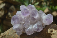 Natural Jacaranda Amethyst Clusters x 2 From Mumbwa, Zambia - TopRock