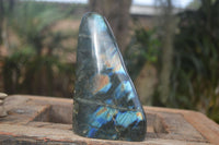 Polished Flashy Labradorite Standing Free Forms  x 2 From Tulear, Madagascar - Toprock Gemstones and Minerals 