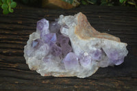 Natural Jacaranda Amethyst Cluster x 1 From Zambia - Toprock Gemstones and Minerals 