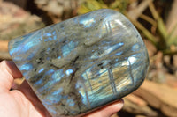 Polished Labradorite Standing Free Forms With Intense Blue & Gold Flash x 2 From Sakoany, Madagascar - TopRock