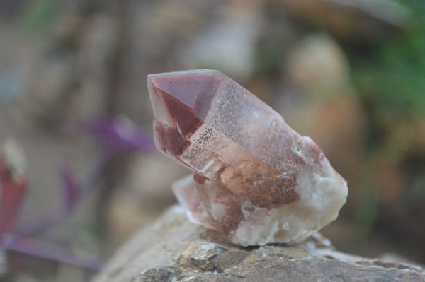 Natural Red Hematoid Quartz Specimens x 12 From Karoi, Zimbabwe