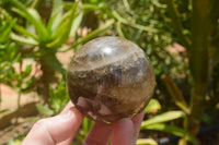 Polished Morion Smokey Quartz Spheres x 3 From Madagascar - TopRock