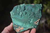 Natural Crystalline Botryoidal Malachite Specimens  x 5 From Kambove, Congo