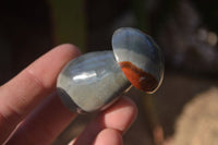 Polished Mini Polychrome / Picasso Jasper Mushrooms  x 20 From Madagascar