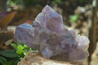 Natural Jacaranda Amethyst Clusters x 2 From Mumbwa, Zambia - TopRock