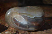 Polished River Agate Free Forms  x 6 From Sashe River, Zimbabwe - Toprock Gemstones and Minerals 