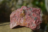 Natural Rough Red Rhodonite Specimens x 6 From Karoi, Zimbabwe