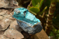 Natural Blue Chrysocolla With Malachite Specimens  x 12 From Kolwezi, Congo - TopRock