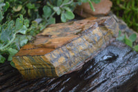 Natural Golden Blue Tigers Eye Specimens  x 2 From Prieska, South Africa - TopRock