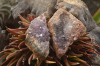 Natural Amethyst & Crystal Centred Geodes  x 24 From Zululand, South Africa - TopRock